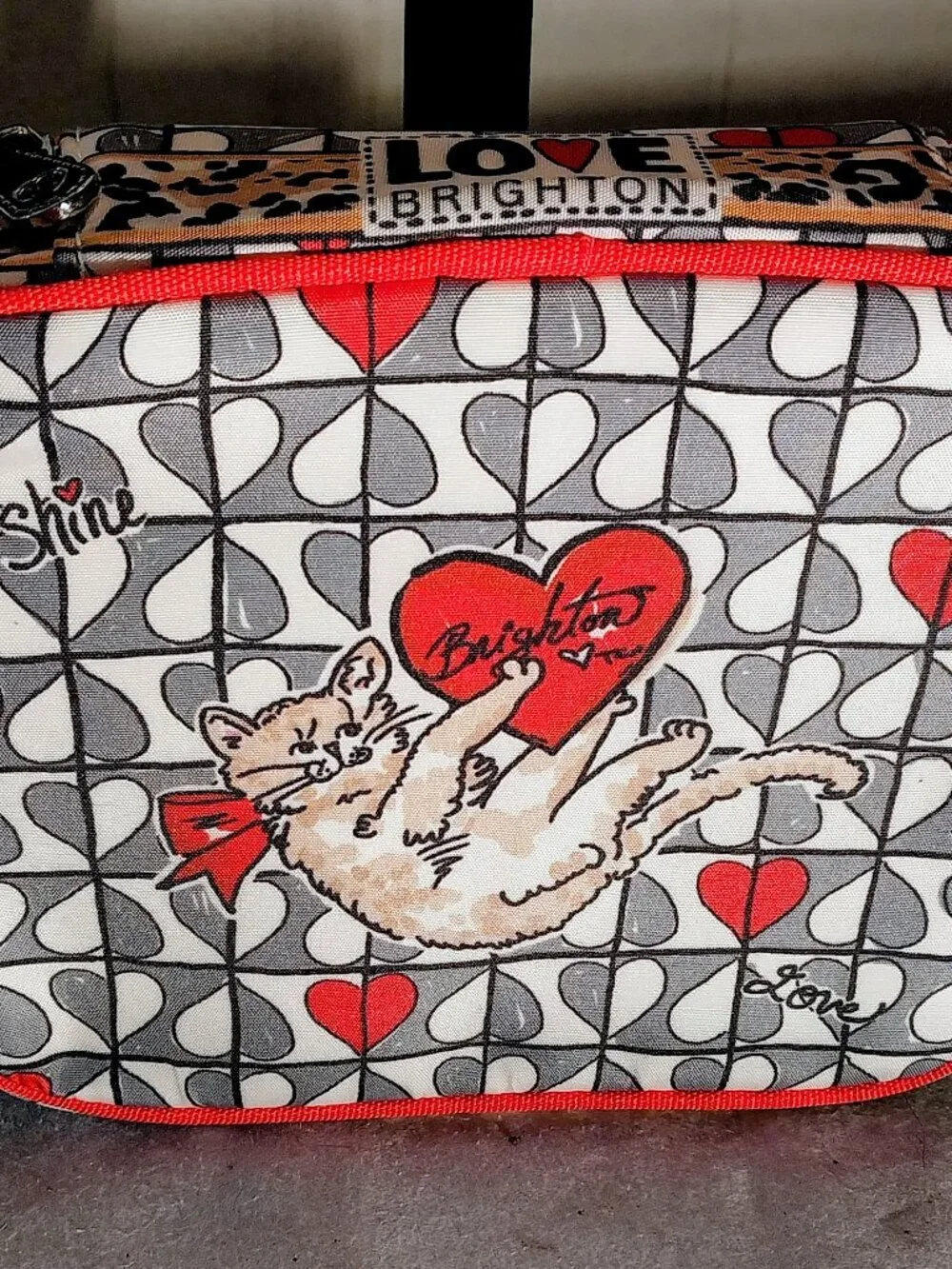 NWT Brighton Wild Love Cosmetic/Jewelry Travel Bag with 2 Pouches 7X6X3